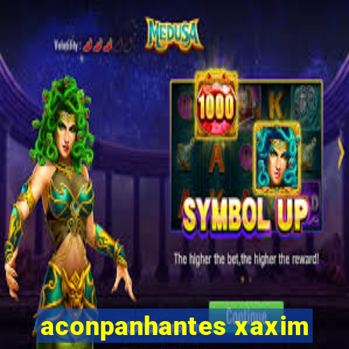 aconpanhantes xaxim